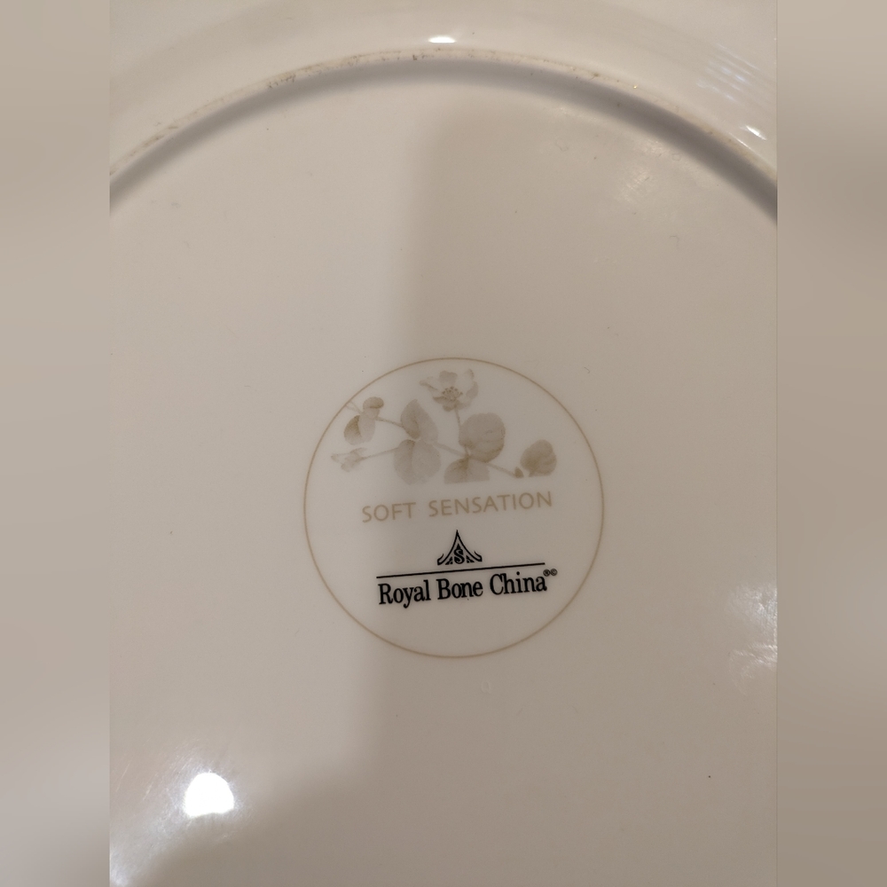 Vintage Bone China Plate. Set of Two